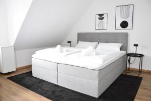 Studio 12 - Modern - Zentral - Küche