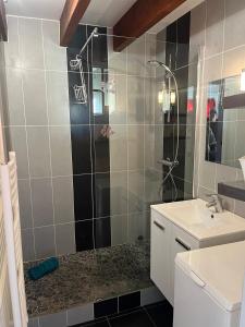 Maisons de vacances La Coccinelle : photos des chambres