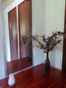 Bamboo House - Manuel Antonio