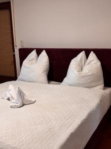 Schöne Wohnung am Dümmersee