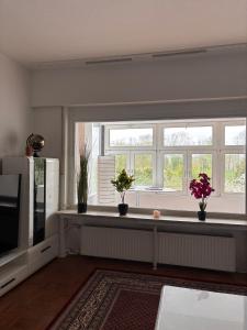 Schöne Wohnung am Dümmersee