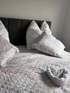 Schöne Wohnung am Dümmersee