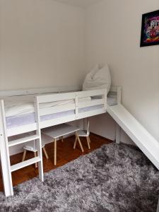 Schöne Wohnung am Dümmersee