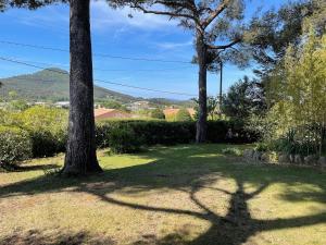 La Ratopenado - Villa Provençale - Piscine