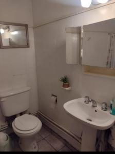 Mendoza pleno centro