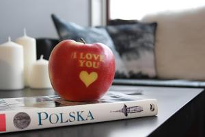 Kopernik-us 2 rooms - Old Town