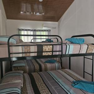 CabaƱa y Piscina el Lorito