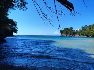 Casa Titi - Manuel Antonio