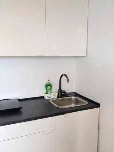 Renovated Apartment for Four