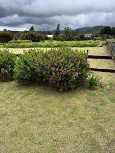 Super Cabaña Sabana de Faca NUEVA