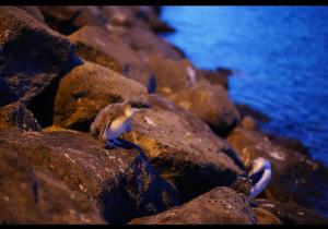 Unit 3 23 Foster Street St Kilda