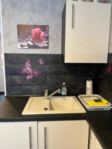 Viktera Modernes Apartment mitten in der Stadt und doch sehr ruhig Zu Therme 2 Minuten