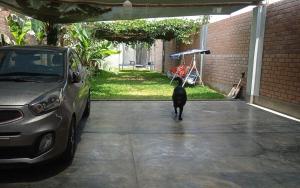 Casa de campo en Chincha