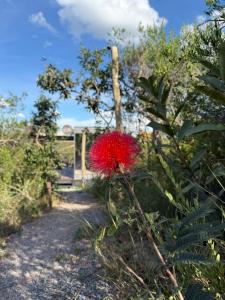 Cabanas Mirante do Cerrado