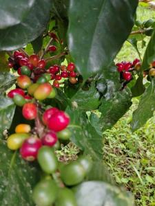 Casa Posada Margarita