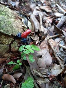 Casa Posada Margarita