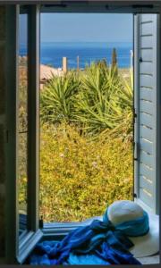 Old Mansion Residence