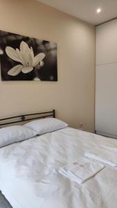 Dobo Studio Central & Cozy in Tbilisi