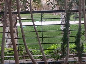 شقة فندقية بحديقة خاصة رائعة