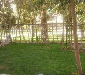 شقة فندقية بحديقة خاصة رائعة