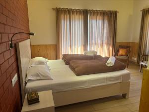 Dhruvis Nest Nainital