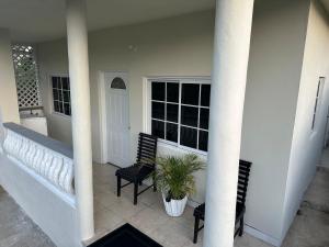 Bird Bliss Burlington Portland