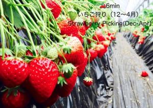 サウナ&ステイ吉日荘-益子町のサウナ付の貸切古民家 BBQ 高速Wi-fi