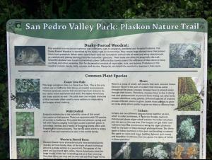 Peaceful 1BR Stay - Golf & Beach