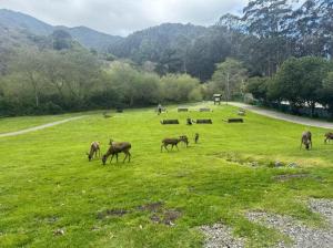 Beachy 1BR Escape with Sofa Bed - Golf & Beach Nearby