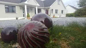 Ely House B&B - Clonmacnoise