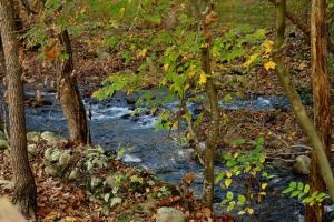 Jons Pond on Cosby Creek