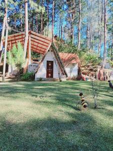 Samantha Hotel Campestre