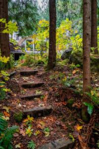 Stay Portland - Sandy Riverfront Mt Hood Cabin! 9 Queen Beds!