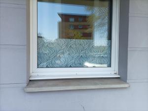 Appartements L IDEAL!, Cosynestdunkerque : photos des chambres