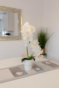 Charming Sonoma Cottage 2BD and 2BA Close to Plaza