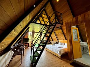 Solitary Green Cabins