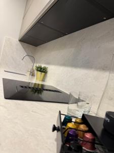 The Stylish Gem of Den Haag Aprt R1