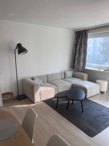 appartement 101 place Léopold 1er à la panne à 100m de la plage