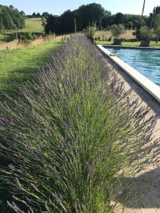 Maisons de vacances Ferme Redouline - 3 Bedroom, large private pool : photos des chambres