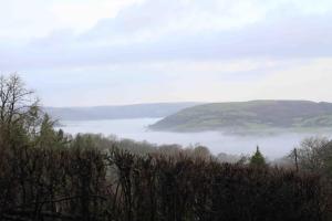 The Charcoal Hut woodland retreat