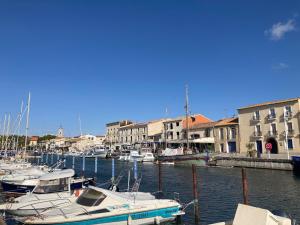 Appartements LE MILLESIME OLIVIER : Vue exceptionnelle sur la baie, appartement moderne avec une chambre et parking prive. : photos des chambres