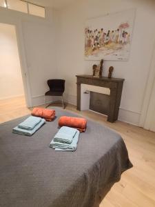 Appartements Le SAINT LEGER - Chambery centre : photos des chambres