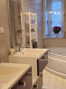 Appartements Le SAINT LEGER - Chambery centre : photos des chambres