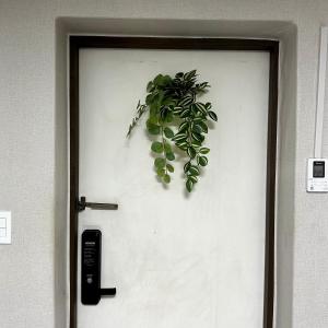 NJ Affordable and cozy accommodation near Nakseongdae Station