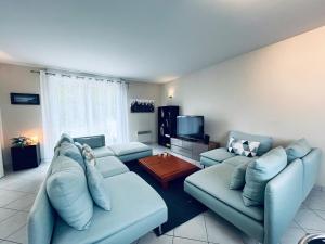 Appartements Le Gre d Argent grande maison au coeur des vignes : photos des chambres