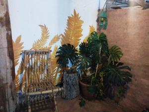 Country Living School img11