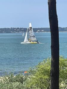 Maisons de vacances La grange sous les pins landais : photos des chambres