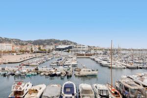 Modern 2 Bedroom Overlooking Cannes Old Port
