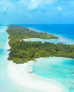 Oceana Inn Hotel Maldives - Snorkeling, Sandbank & Surfing Adventures in Kudahuvadhoo Island