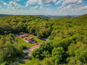 Bányahegyi erdei nyugalom és wellness erdész & vadászház